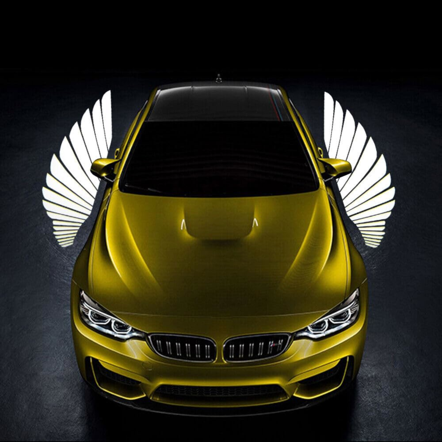 Car Side Rearview Mirror Dynamic Angel Wings Projection Light - Image 5